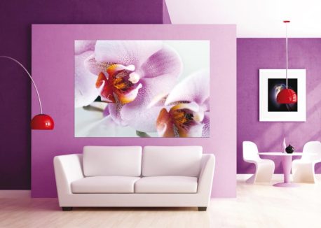 Fototapet FTM0489 AG Design - imagine 2