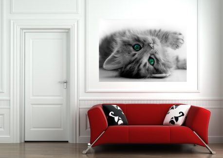 Fototapet FTM0805 AG Design - imagine 2