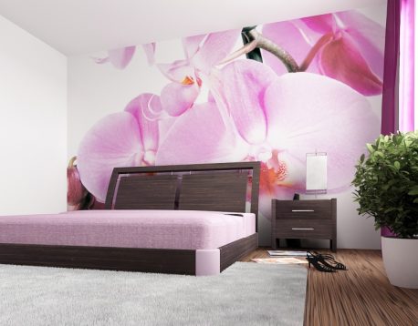 Fototapet FTS0049 AG Design - imagine 2