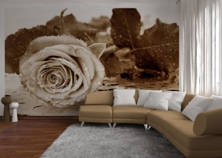 Fototapet FTS0086 AG Design - imagine 2