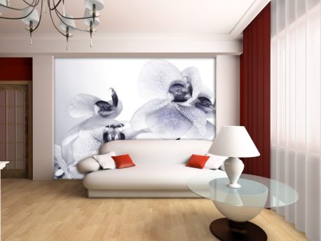 Fototapet FTS1306 AG Design - imagine 2
