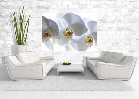 Fototapet FTSs0832 AG Design - imagine 2